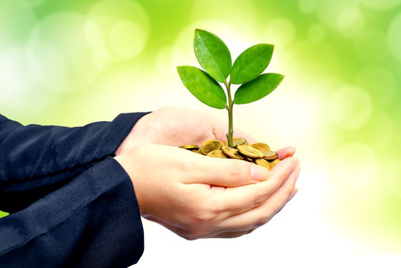 Two hands cradle a green shoot growing up out of a stack of coins.