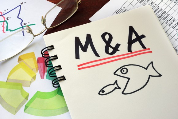 M&A written on notepad with drawing of big fish chasing small fish