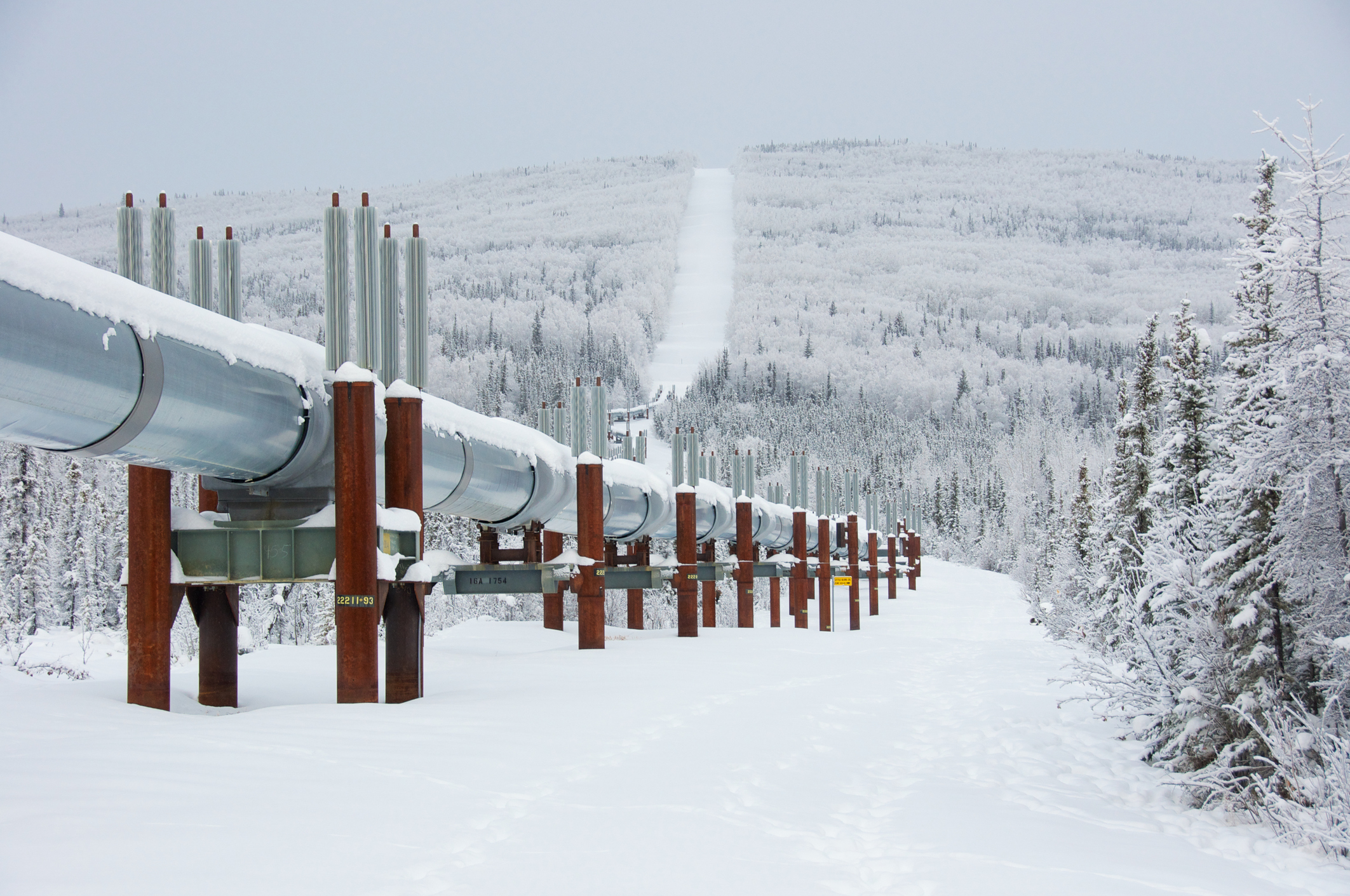 A pipeline going up a snowy mountain.