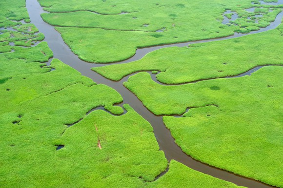 Aerial view of river and tributaries in wetlands