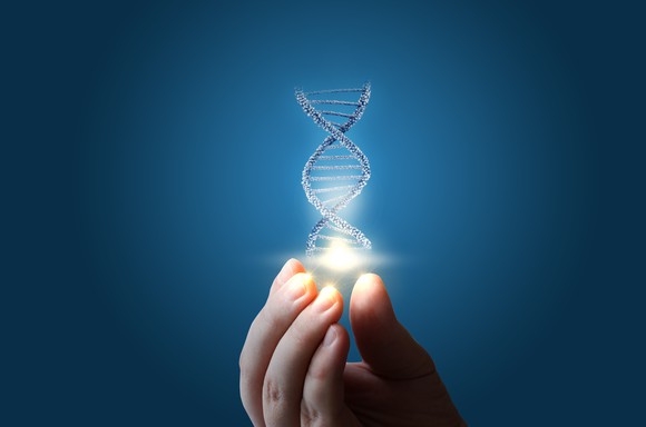 A hand holding a DNA helix