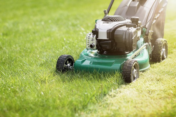 Mowing the lawn