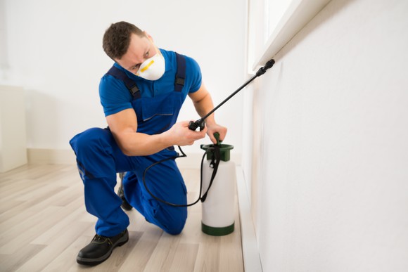 Pest control professional spraying