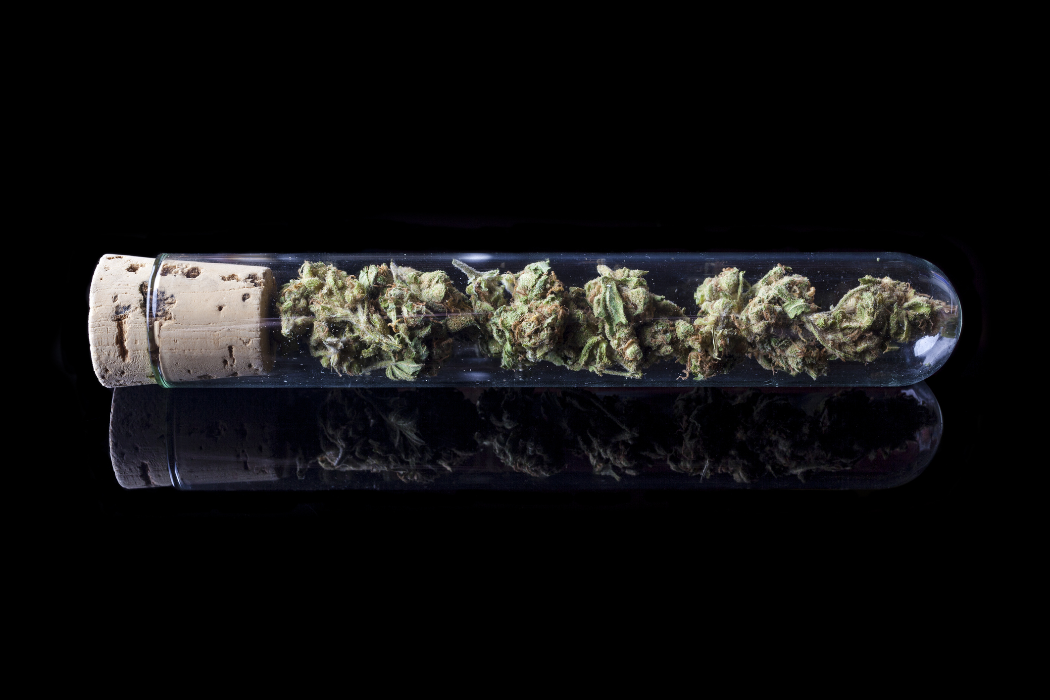 Marijuana in a test tube