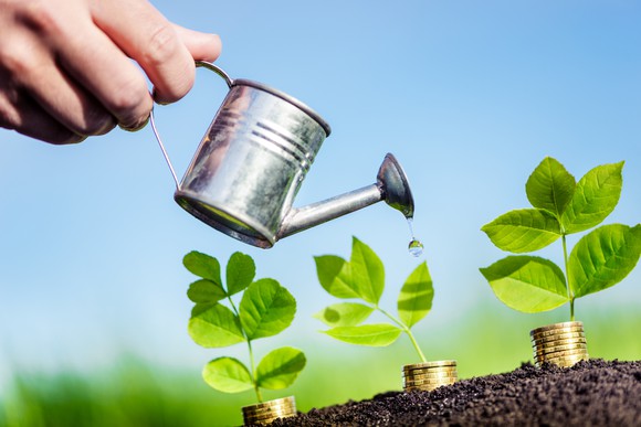 A hand holding a watering can, pouring water on plants that are growing out of gold coins.