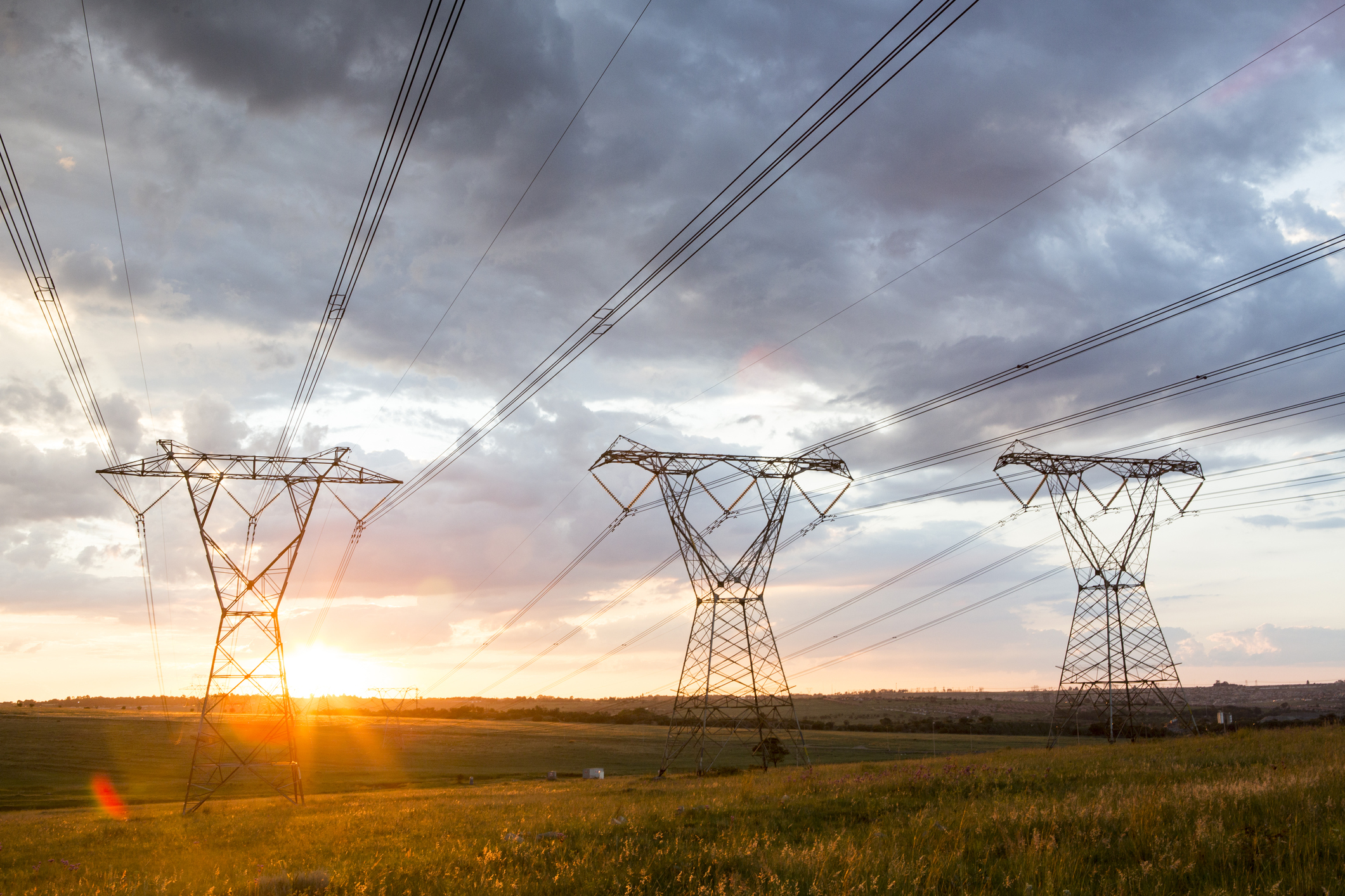Power lines over corn fields at sunrise.