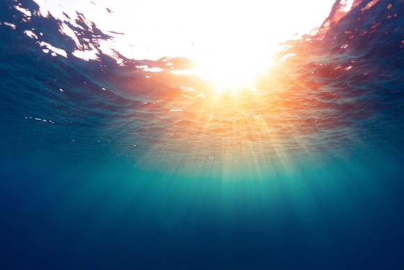 A view of the sea surface from underwater.