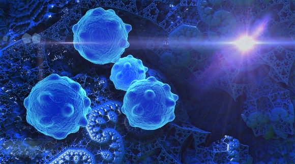 Cancer cells