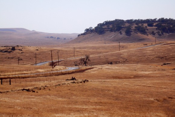 Telephone poles.