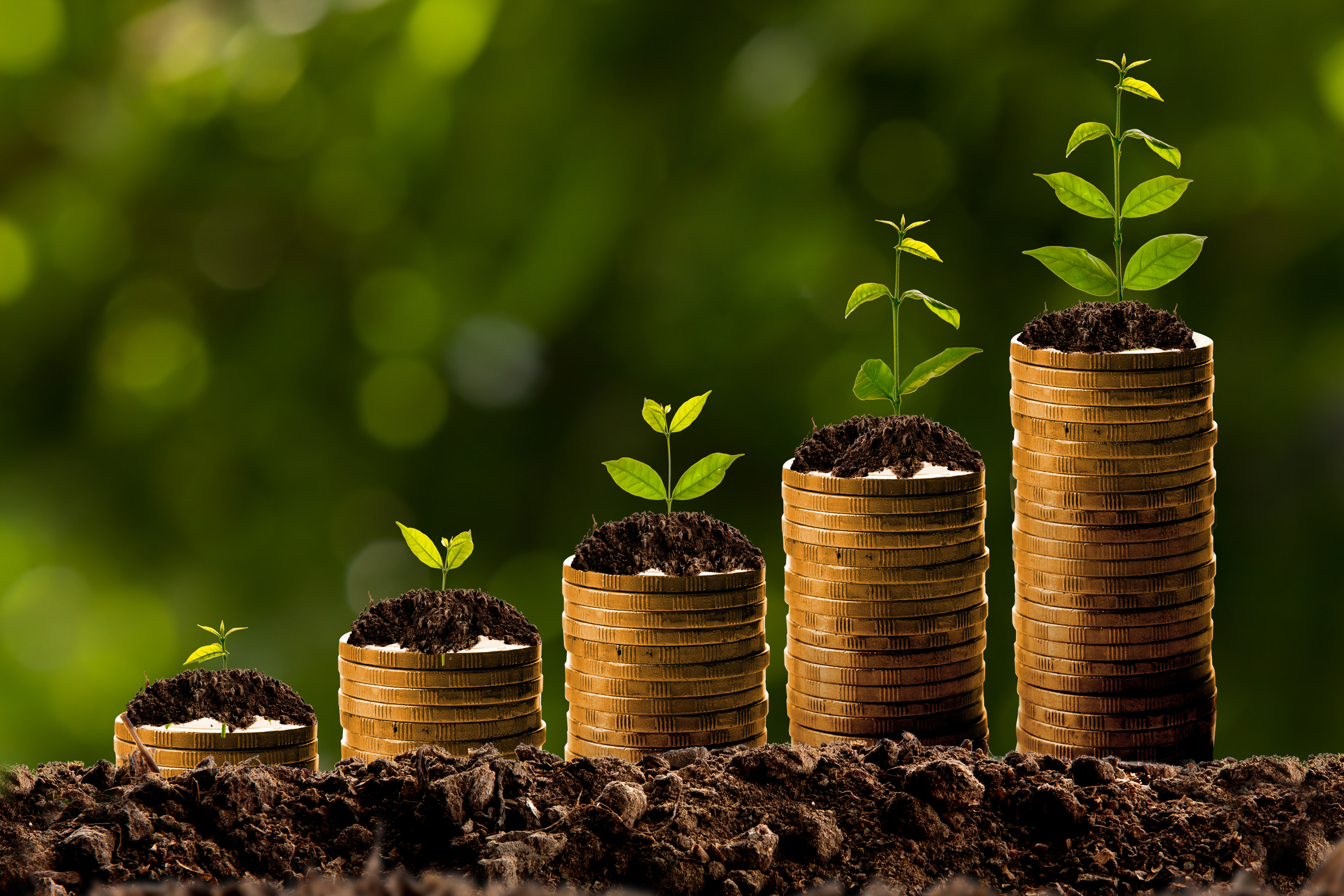 Successively larger stacks of coins with seedlings on top, symbolizing growth.
