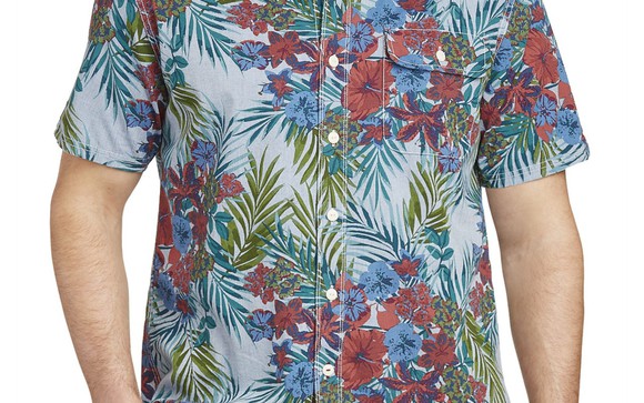 A Hawaiian shirt