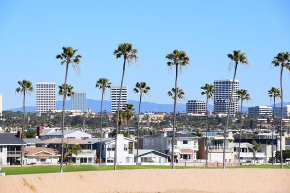 A beach and palm trees in the foreground in Orange County, California.