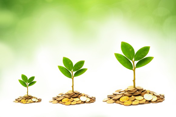 Piles of coins with plants sprouting out of them