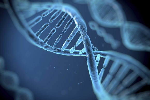 A portrayal of a strand of DNA.