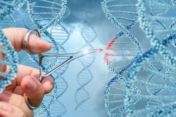 Hand holding scissors removing small section of DNA