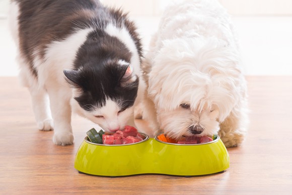 A dog and cat eat from a two-bowled dish.