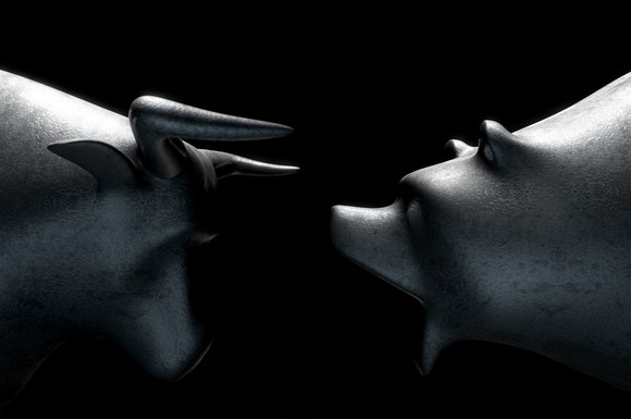 A bear roaring at a bull.