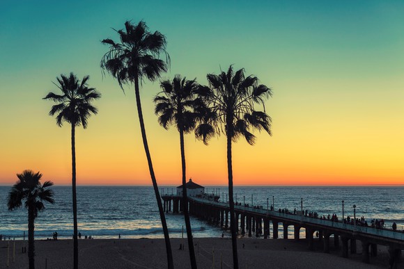 Palm trees against a sunset