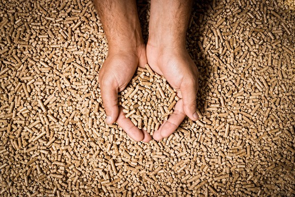 Hands holding wood pellets