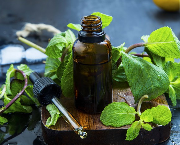 A bottle and eye dropper of essential mint oil, surrounded by mint leaves.