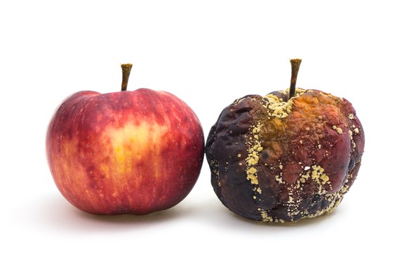 A fresh and a rotten apple next to each other