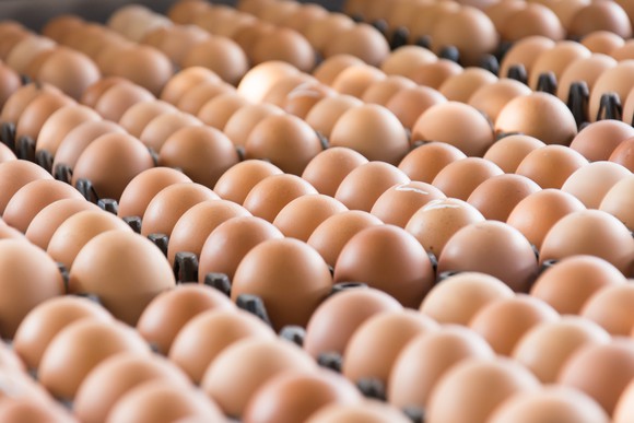 Rows of brown eggs in cartons.