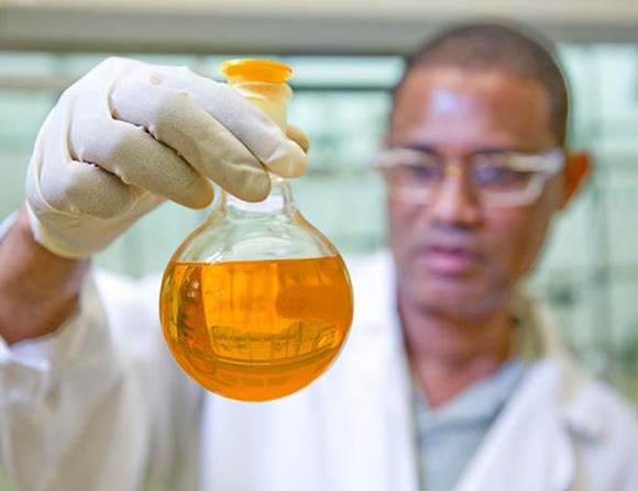 A scientist examines fluid in a test tube.