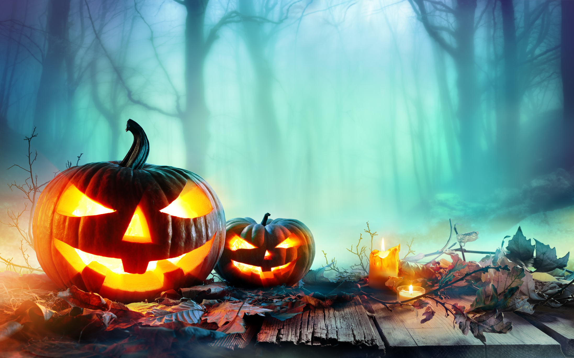 two Jack o lanterns sitting in misty forest at night