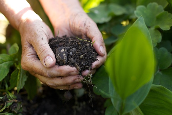 A woman holding fertilizer in her hands.