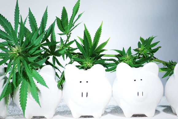 Cannabis plants of descending size growing out of lined up piggy banks.