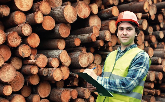 A man standing in front of a huge pile of cut trees.