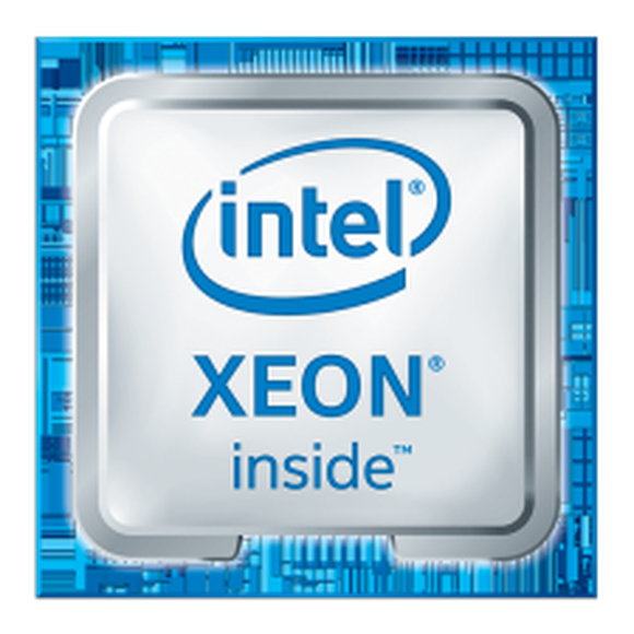 Intel Xeon chip.