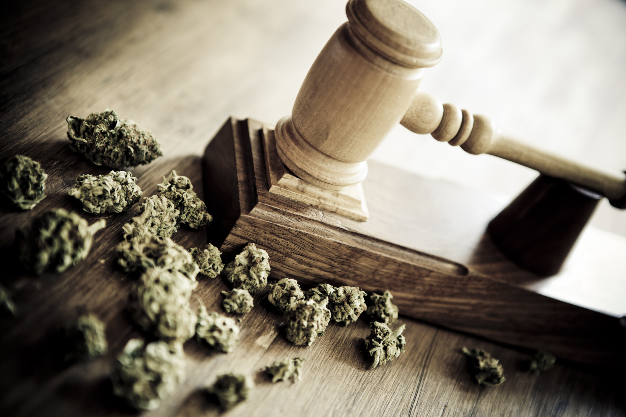 A judge's gavel next to a pile of dried cannabis buds. 