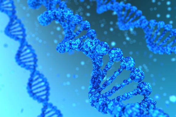 Detailed representation of a DNA molecule.