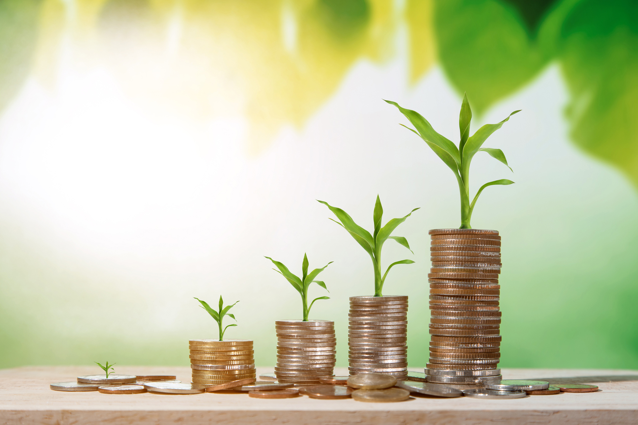 Stacks of coins with plants growing out of them