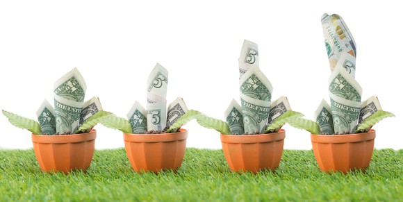 Four plants with cash bills as leaves getting larger from left to right.