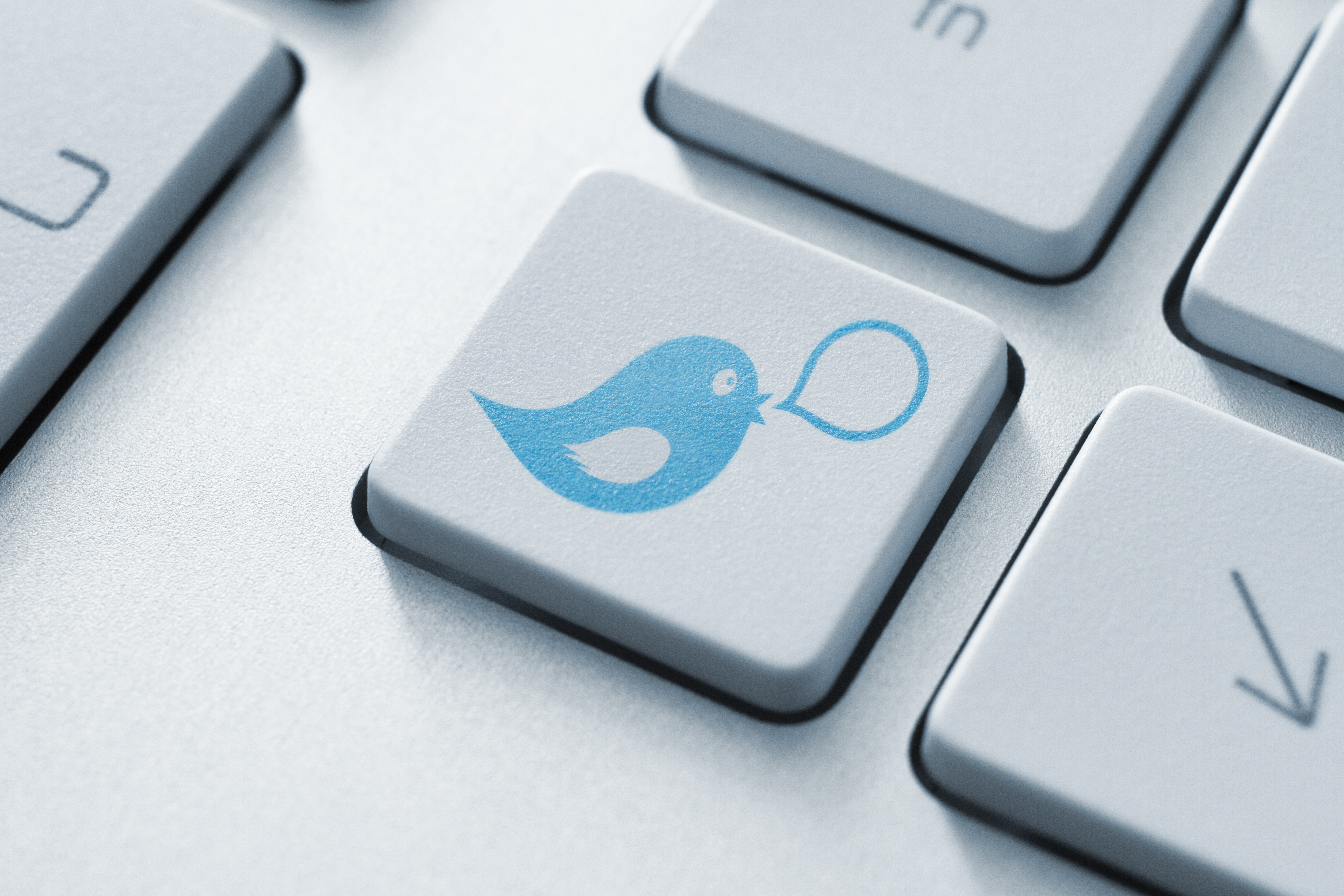 Computer with Twitter bird logo on keyboard key.