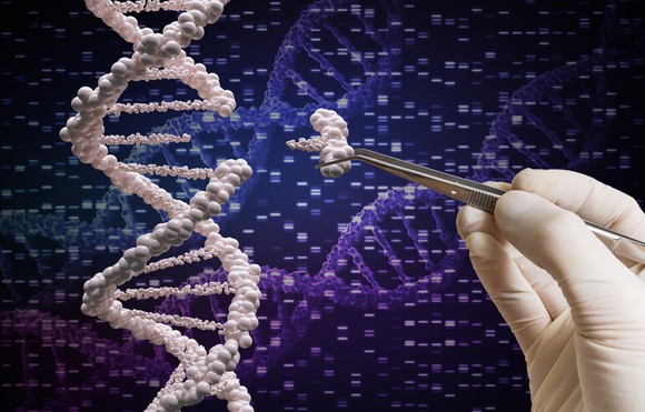 A gloved hand removing a segment of DNA.