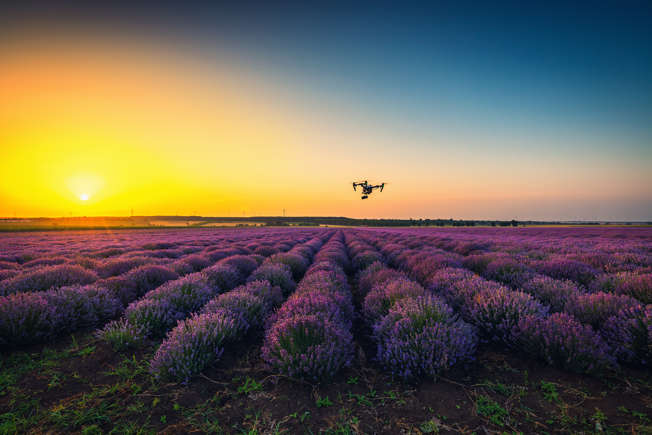 Drone flying above a field.