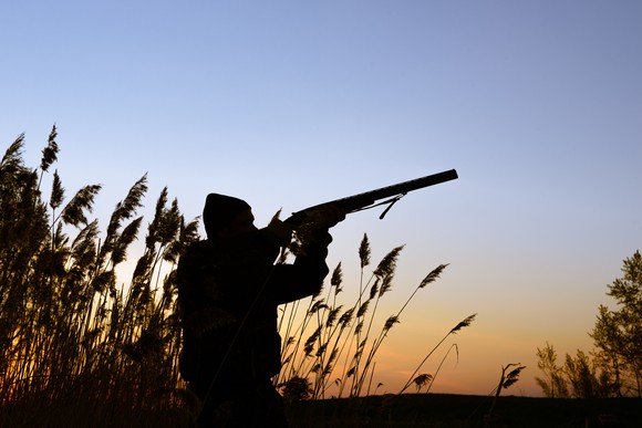 Hunter shooting at prey in field.