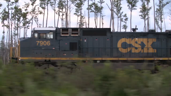 CSX engine going past a row of tall thin trees and bushes.