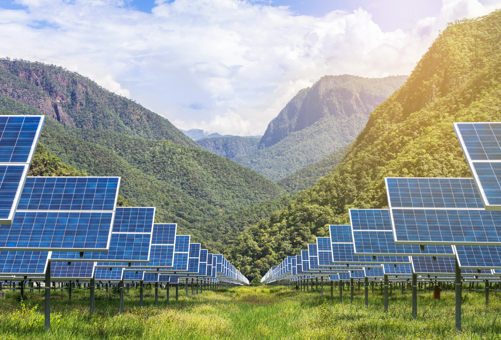 Solar farm with a mountain in the background. 