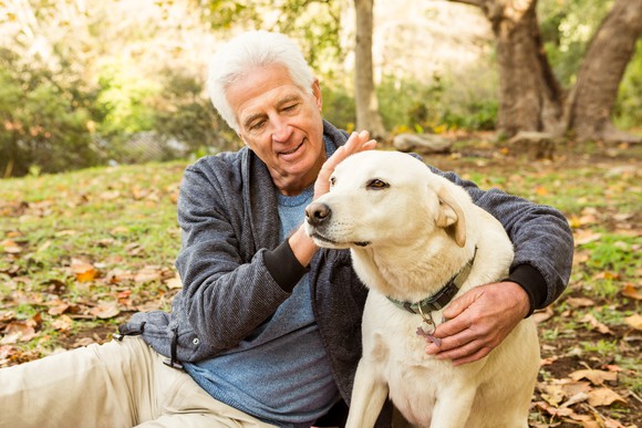 Senior male petting a dog outdoors