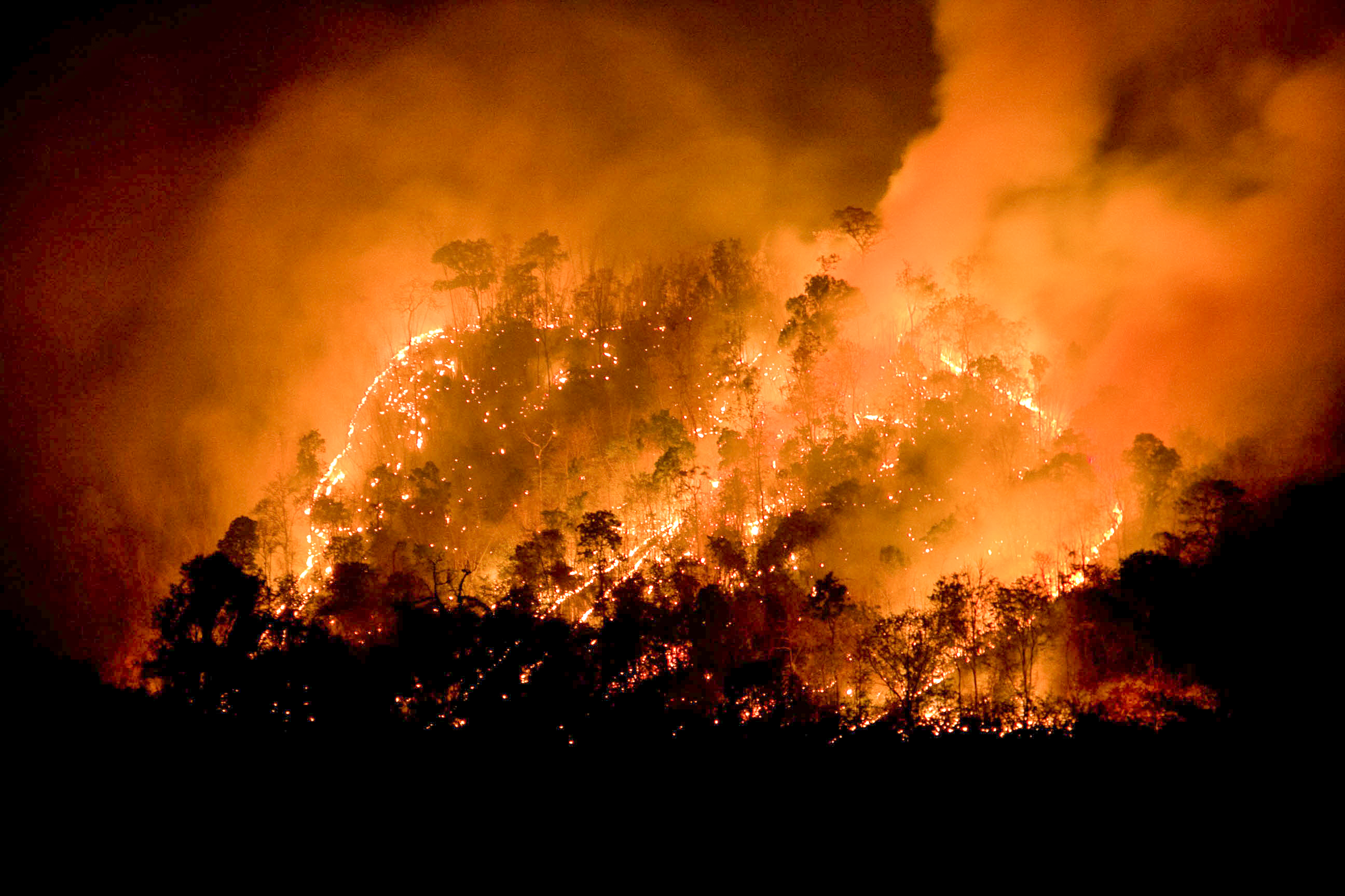 Wildfire spreading on a mountain.