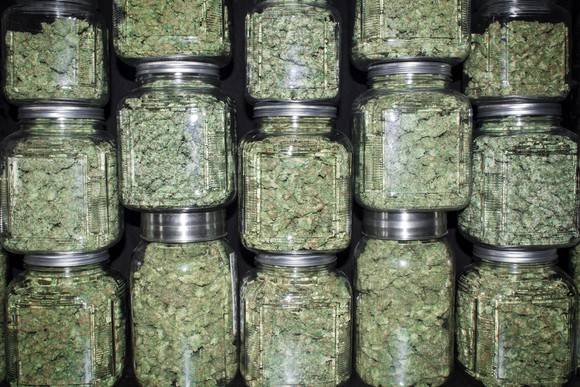 Jars filled with dried cannabis stacked on top of the other.