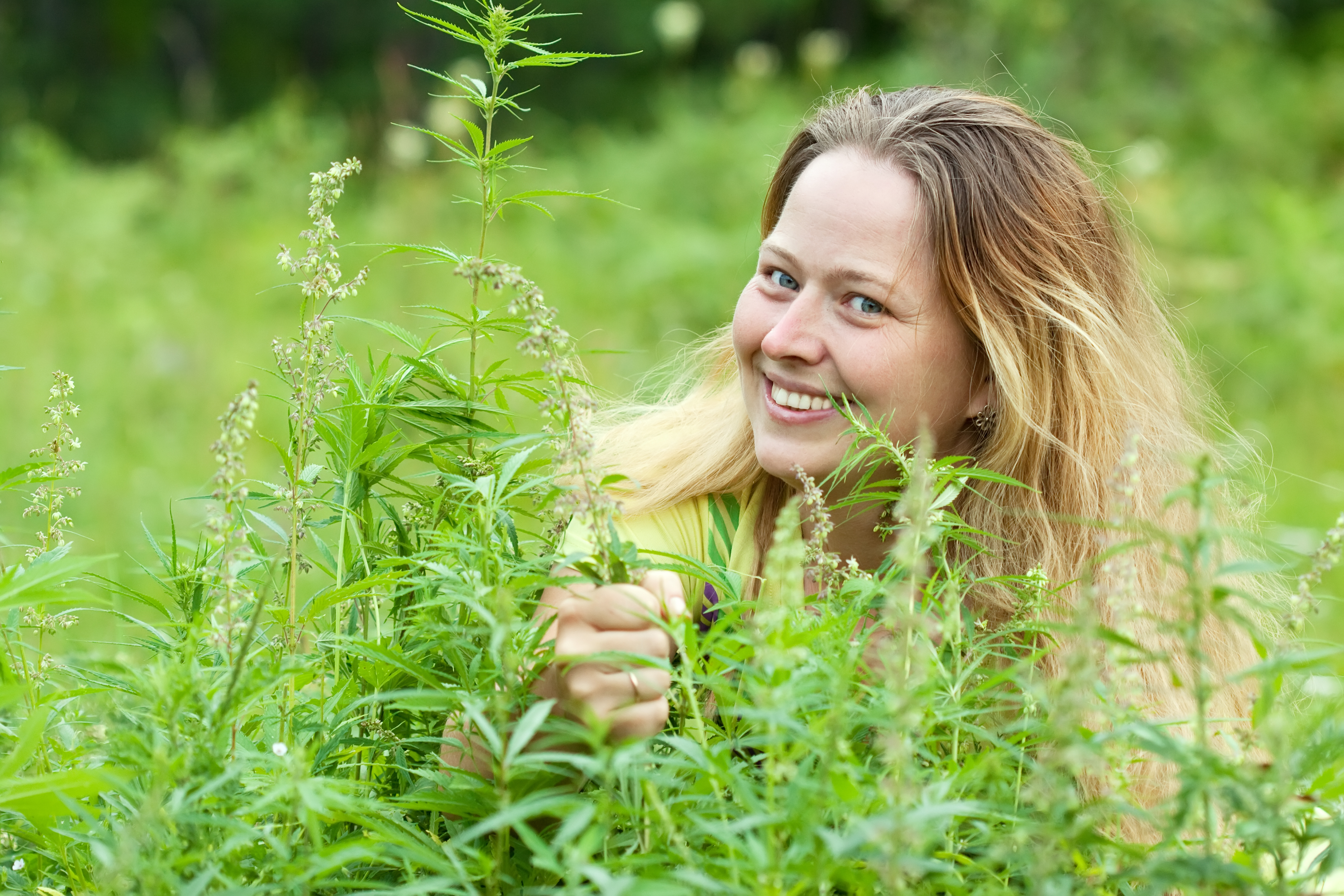 A smiling woman in a field of cannabis plants.