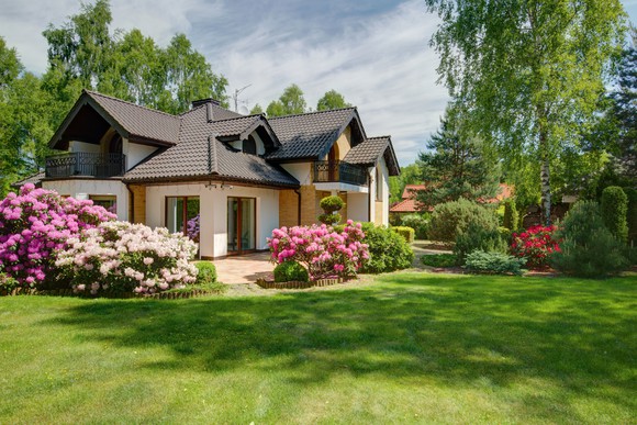 House with attractive landscaping