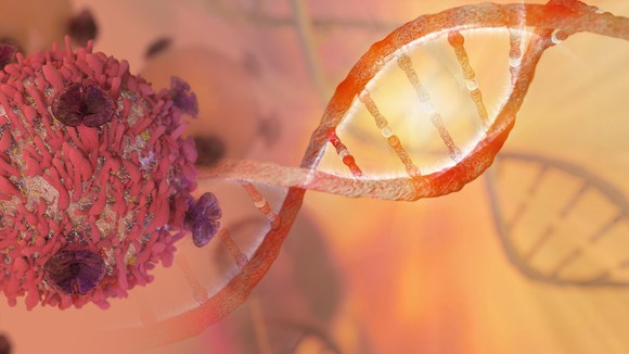 Image of a human cancer cell and a DNA molecule.