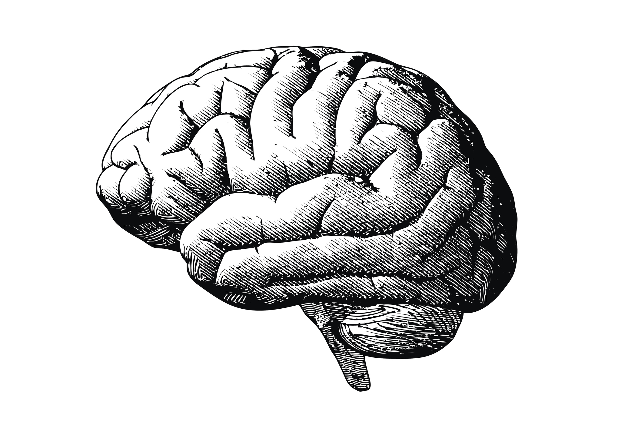 Engraving of a brain
