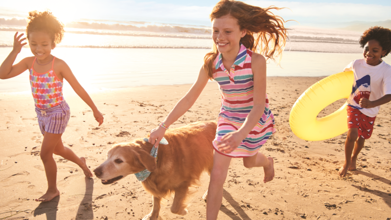 Kids running on beach with dog